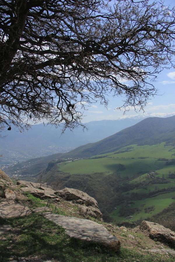 Yenokavan Glamping Ijevan Extérieur photo